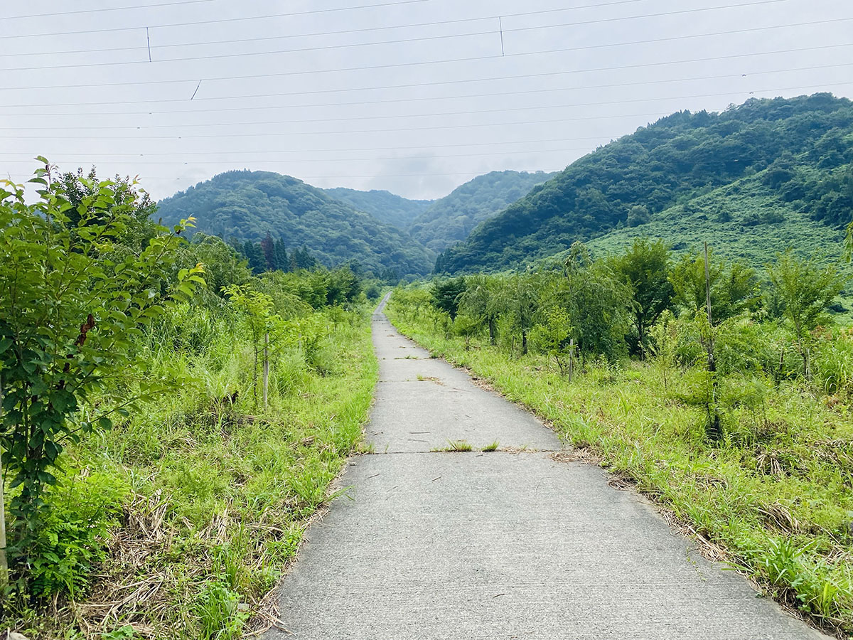 荒島岳（百名山）