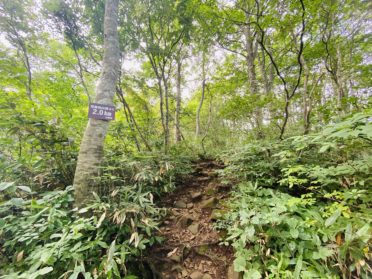 荒島岳登山（百名山）