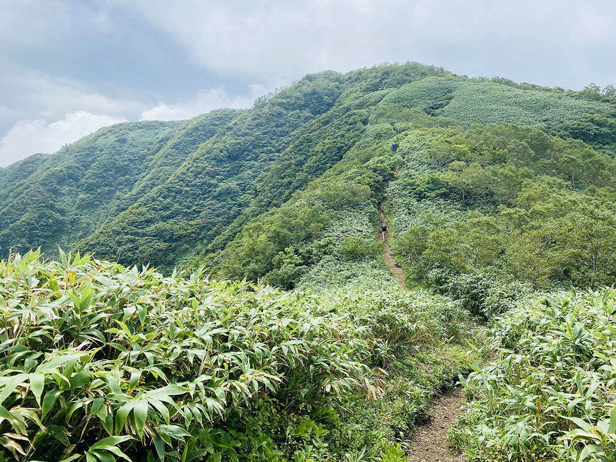 荒島岳登山（百名山）