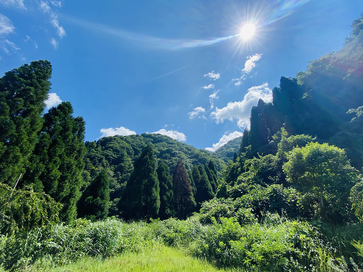 荒島岳登山（百名山）