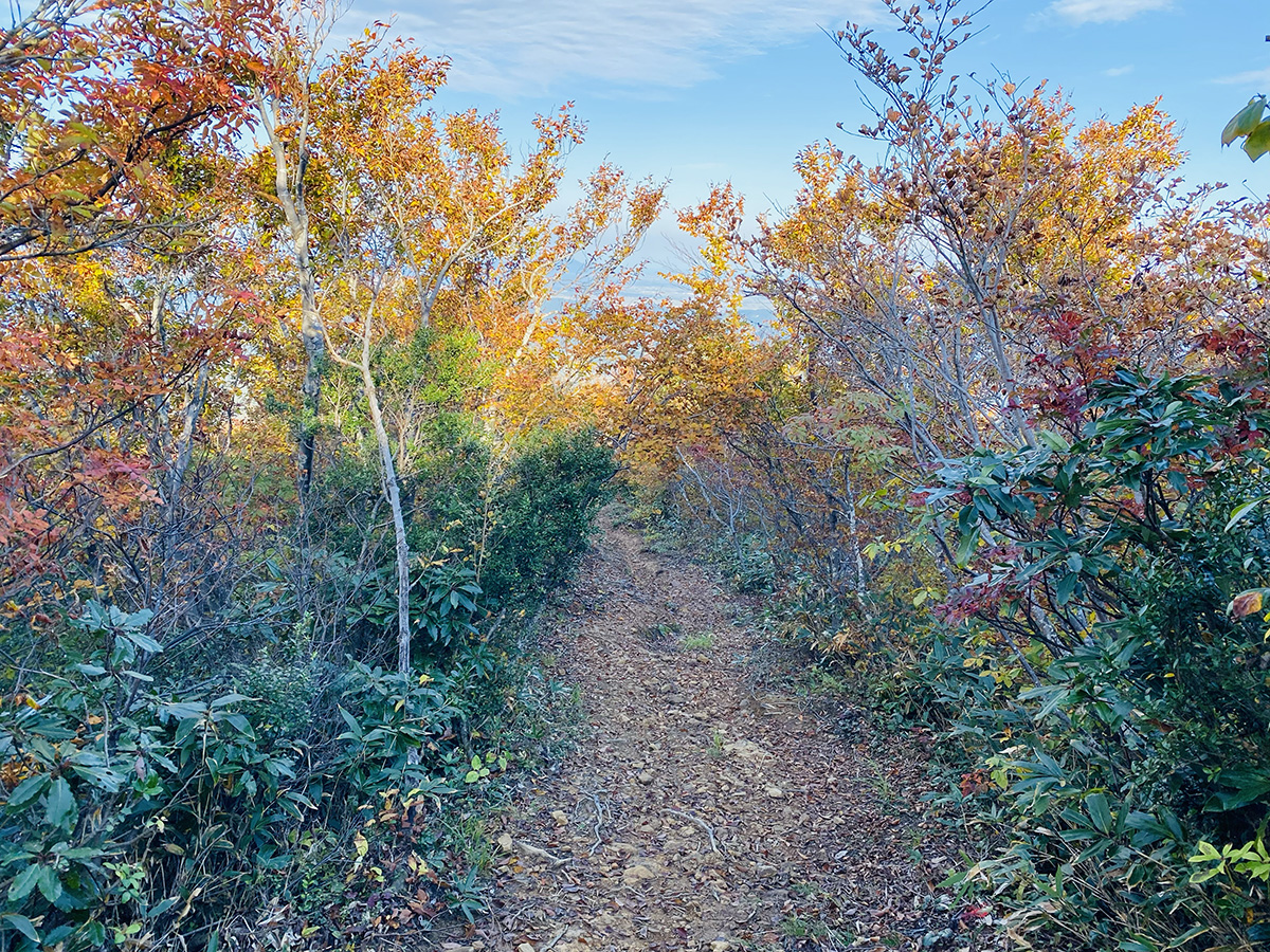 新潟県三条市粟ケ岳日帰り登山