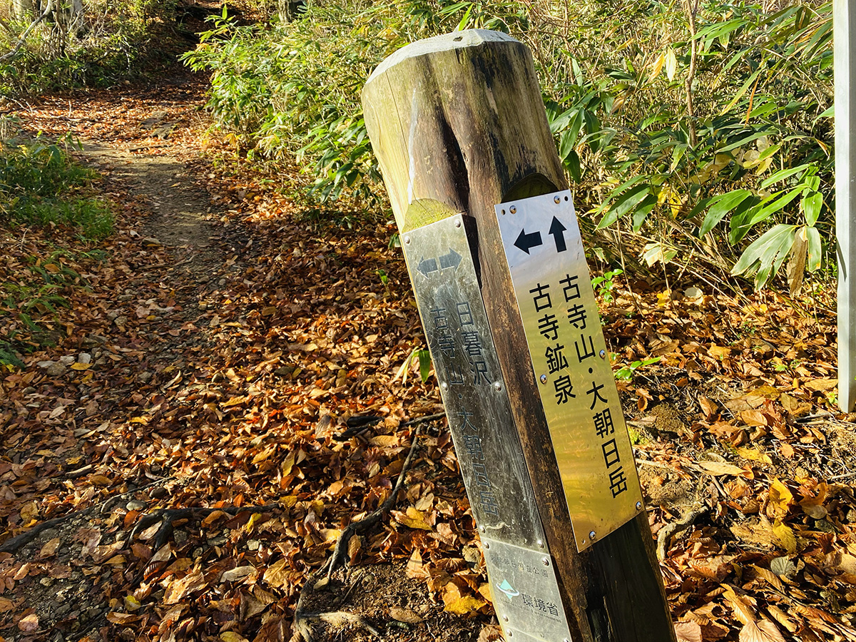 大朝日岳（百名山）日帰り登山