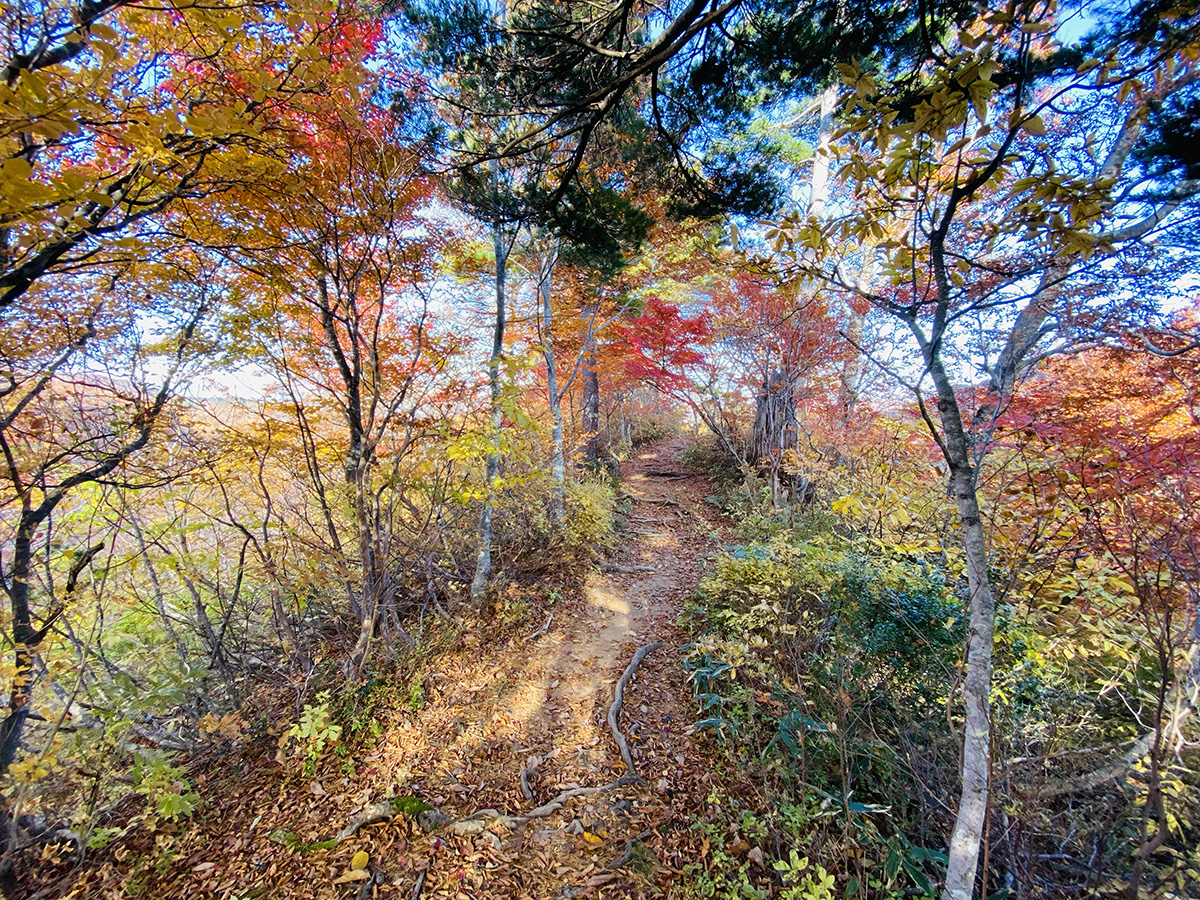 大朝日岳（百名山）日帰り登山