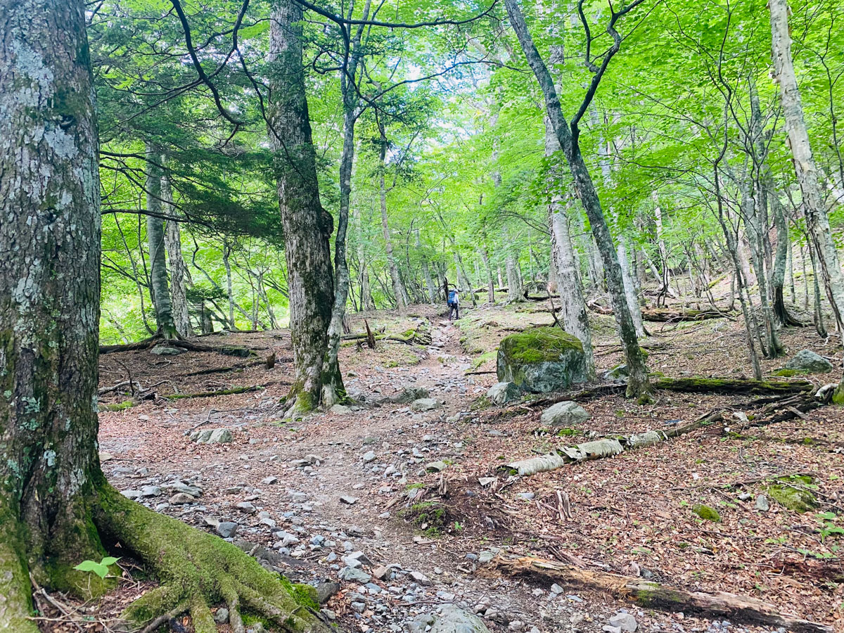 北岳山荘にテント泊した南アルプス登山日記（北岳、間ノ岳、農鳥岳）