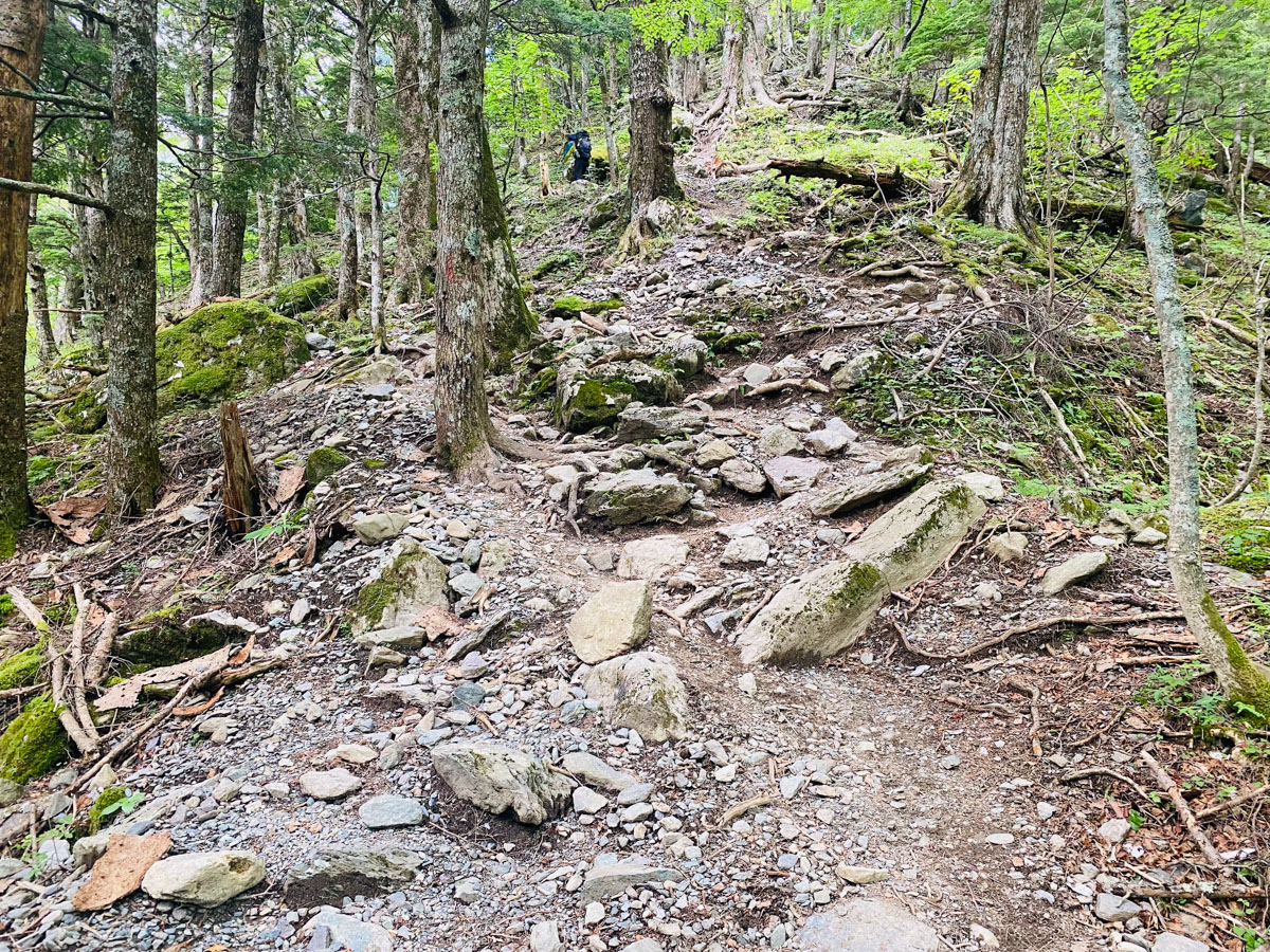 北岳山荘にテント泊した南アルプス登山日記（北岳、間ノ岳、農鳥岳）