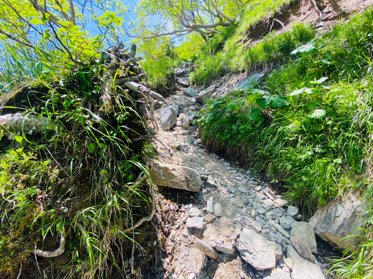 北岳山荘にテント泊した南アルプス登山日記（北岳、間ノ岳、農鳥岳）