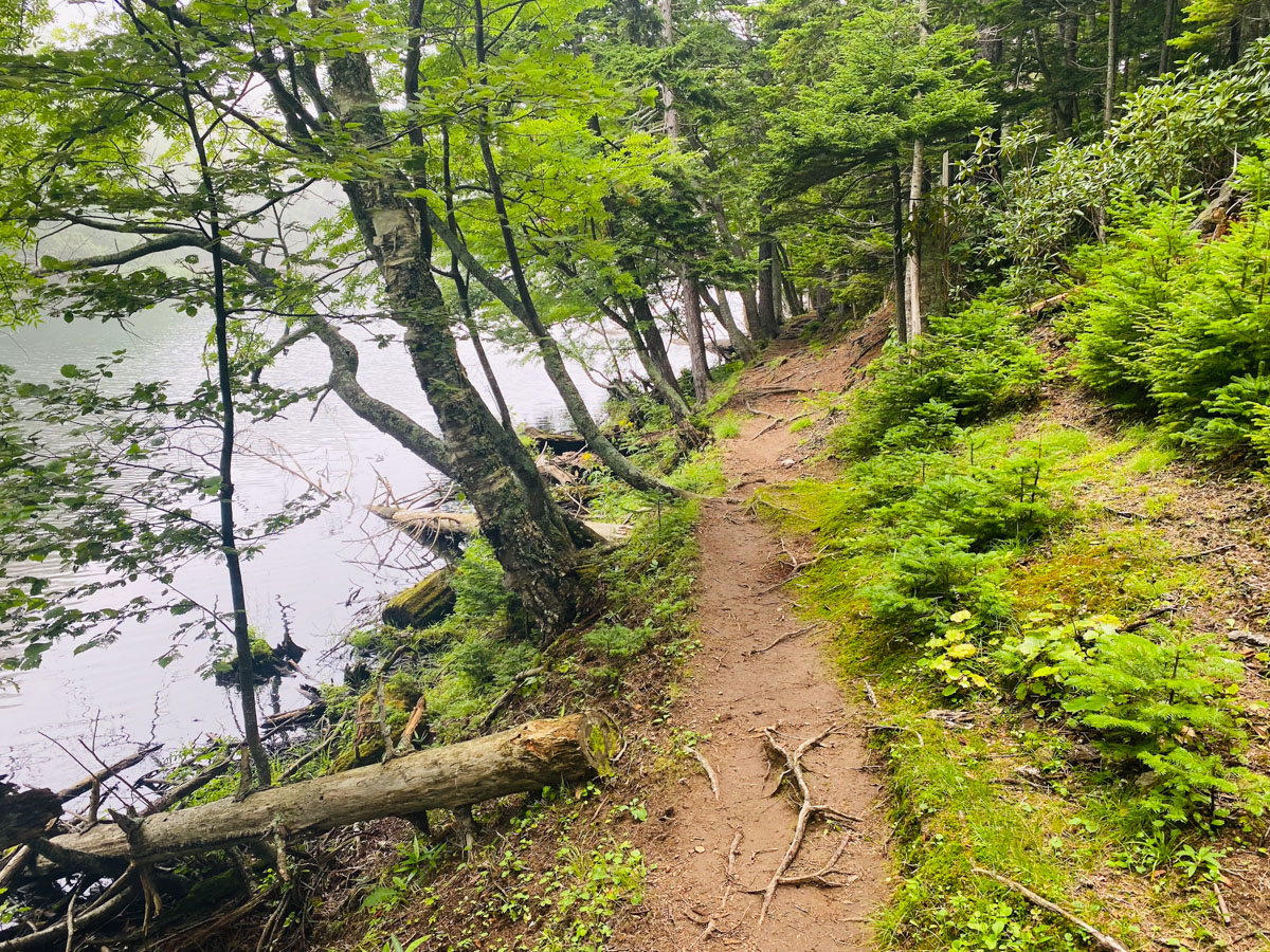 百名山・雌阿寒岳（北海道）日帰り登山日記