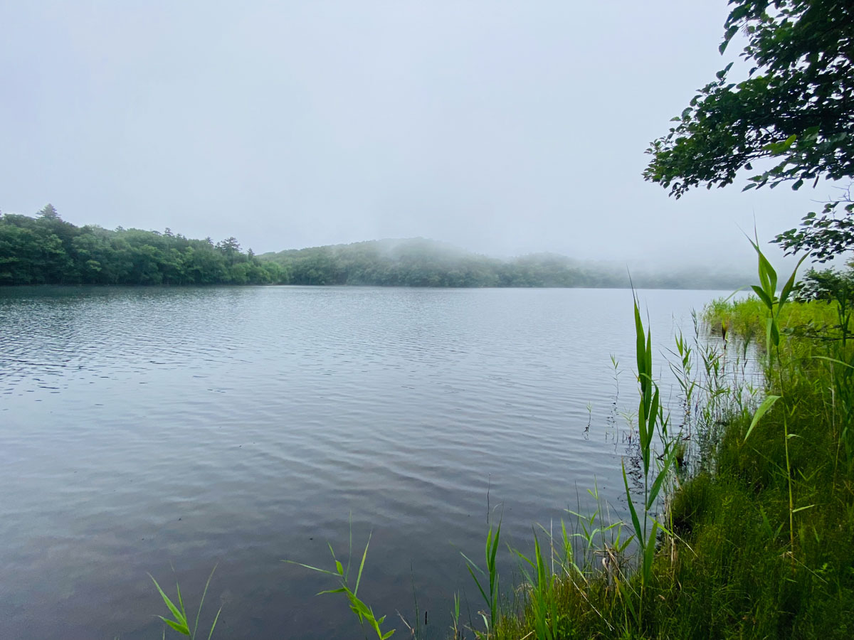 百名山・雌阿寒岳（北海道）日帰り登山日記