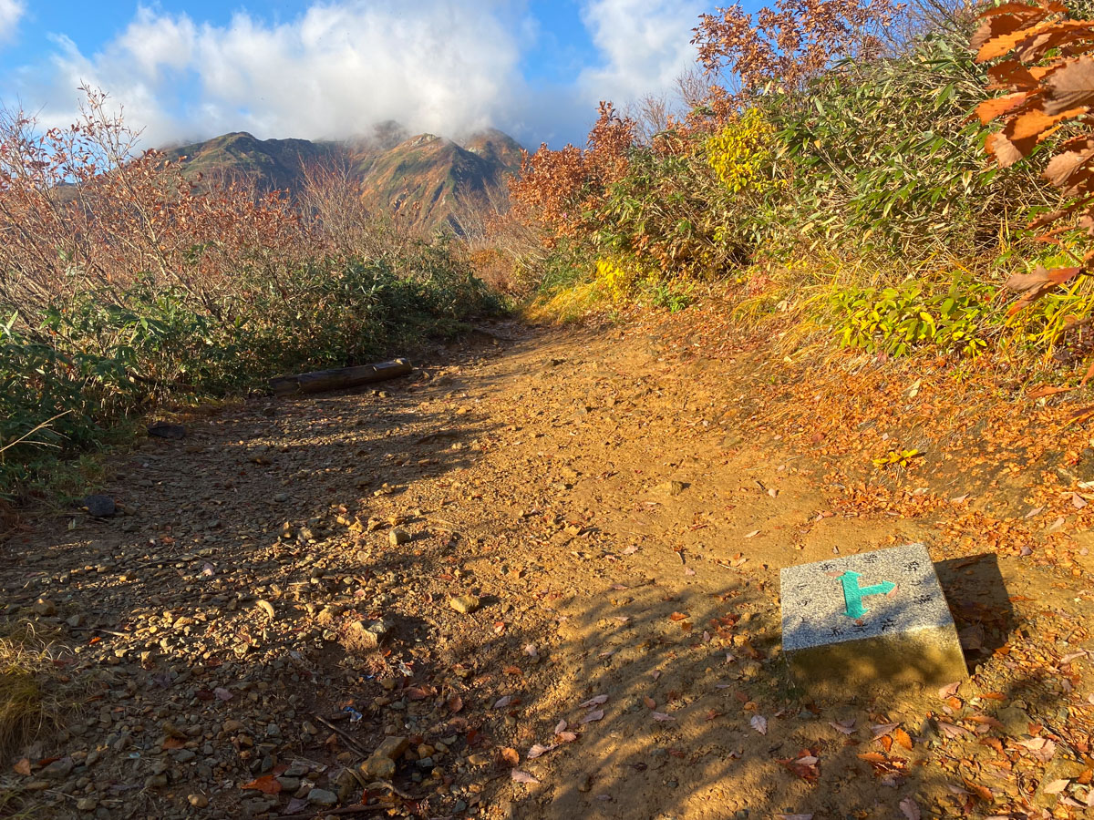 百名山・越後駒ヶ岳・日帰り登山日記