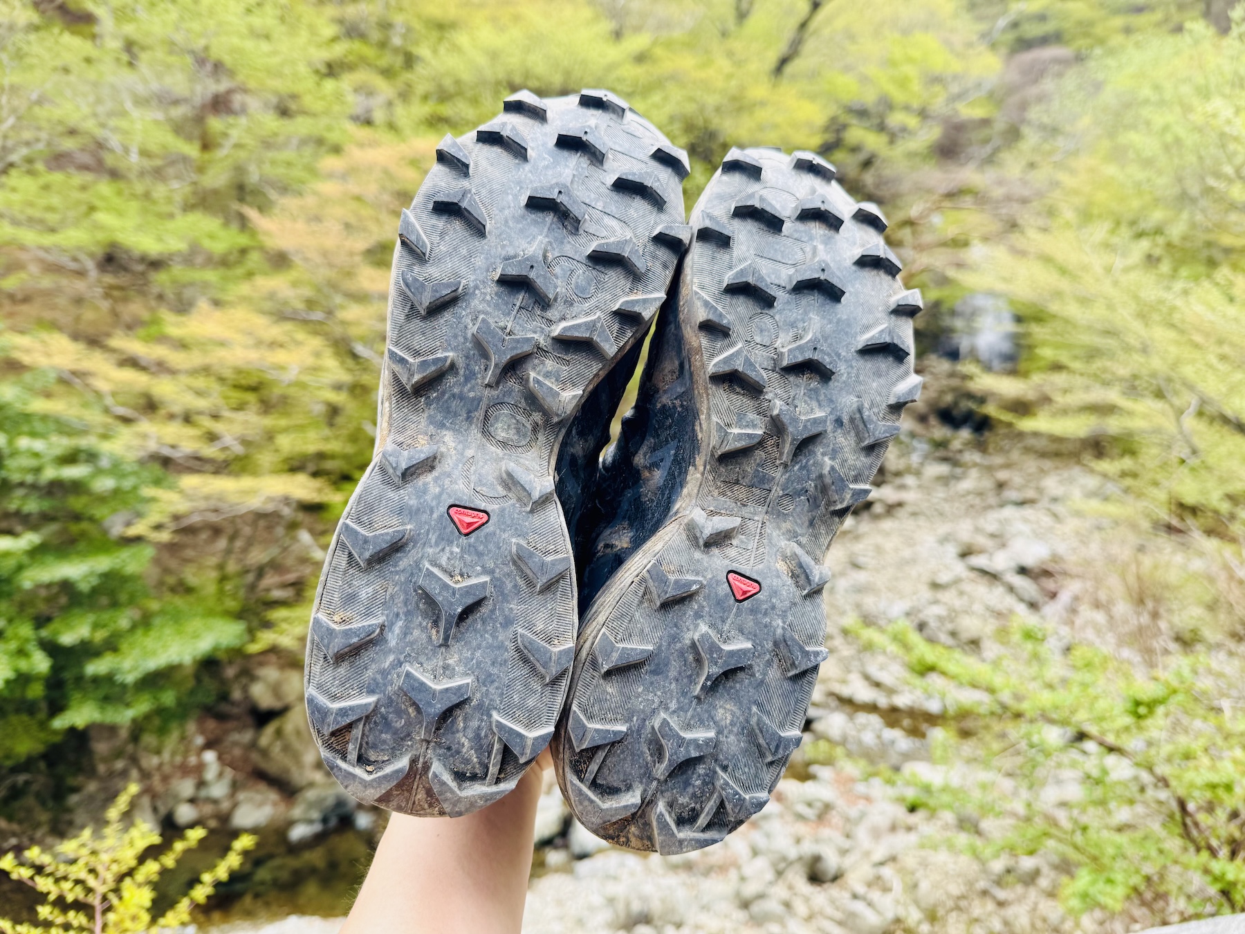 サロモンスピードクロス6をレビュー