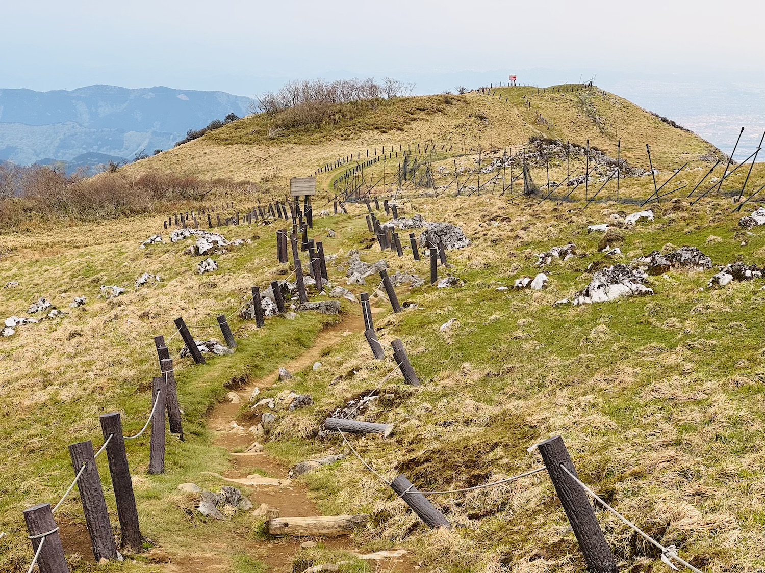 百名山・伊吹山日帰り登山日記