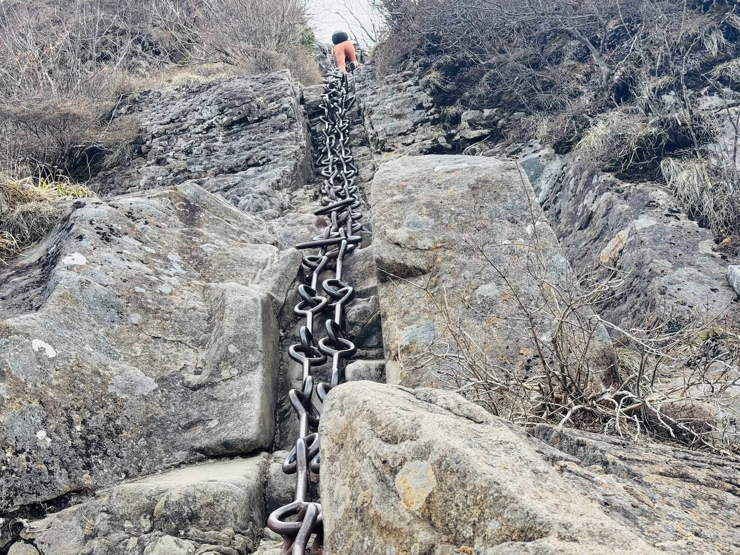 百名山・石鎚山日帰り登山日記