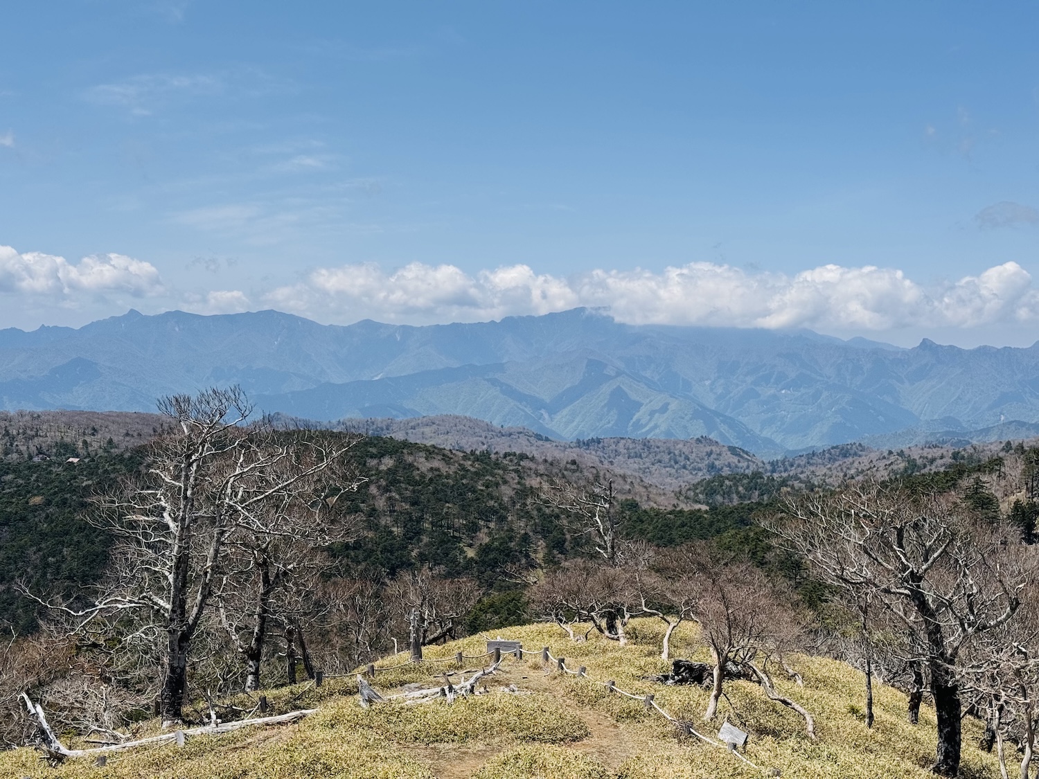 百名山・大台ヶ原(日出ヶ岳)日帰り登山日記