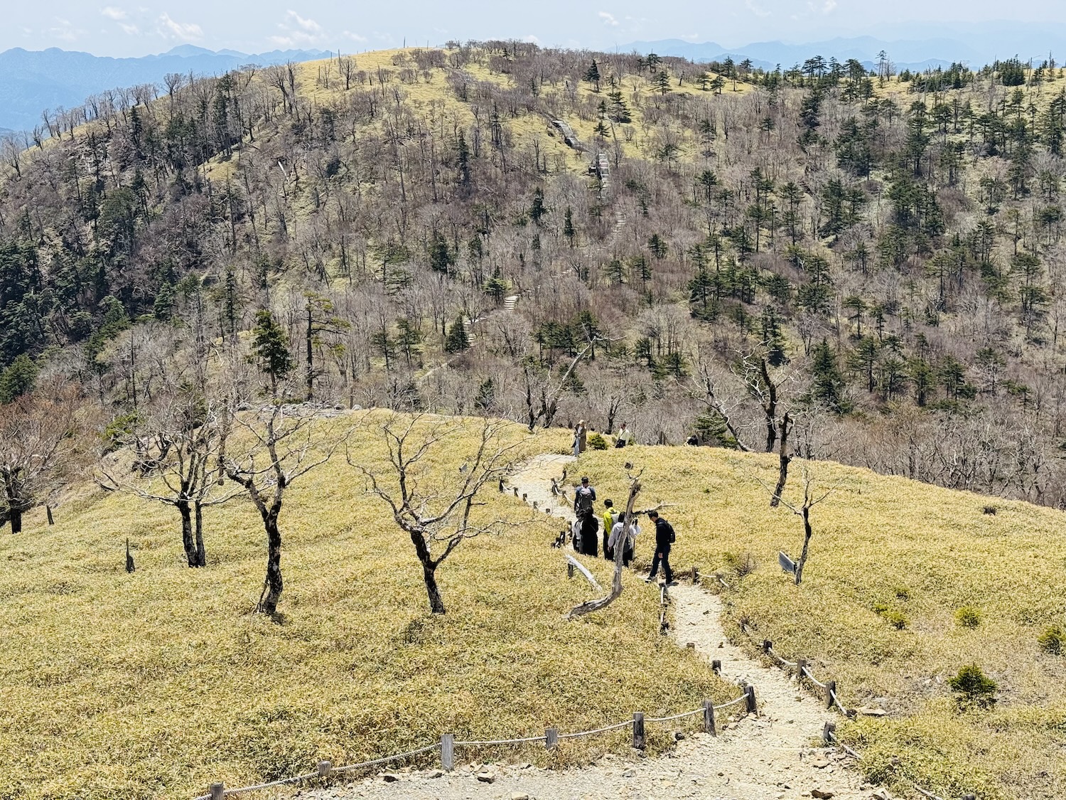 百名山・大台ヶ原(日出ヶ岳)日帰り登山日記
