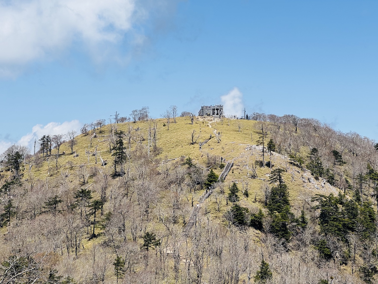 百名山・大台ヶ原(日出ヶ岳)日帰り登山日記