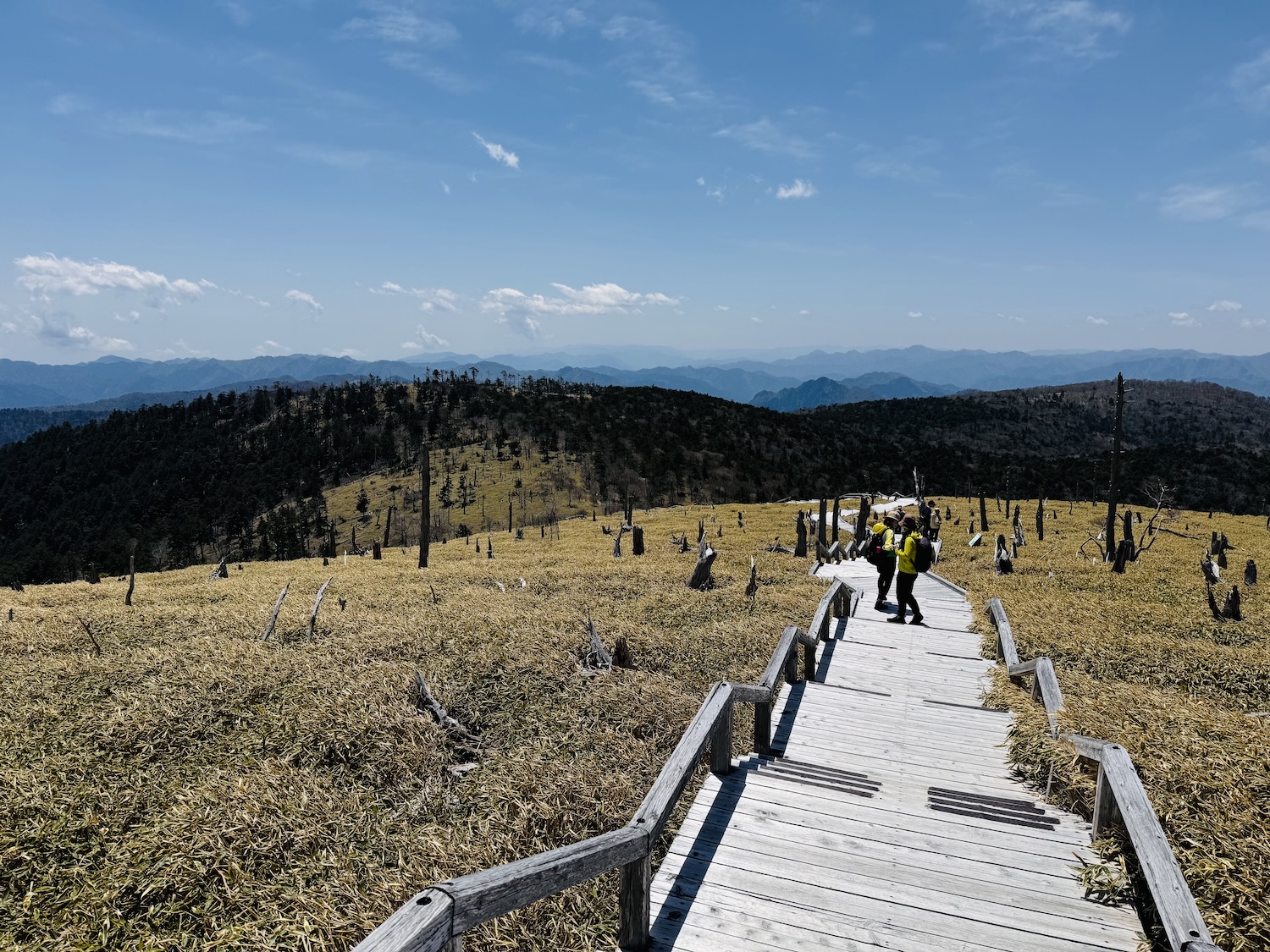 百名山・大台ヶ原(日出ヶ岳)日帰り登山日記