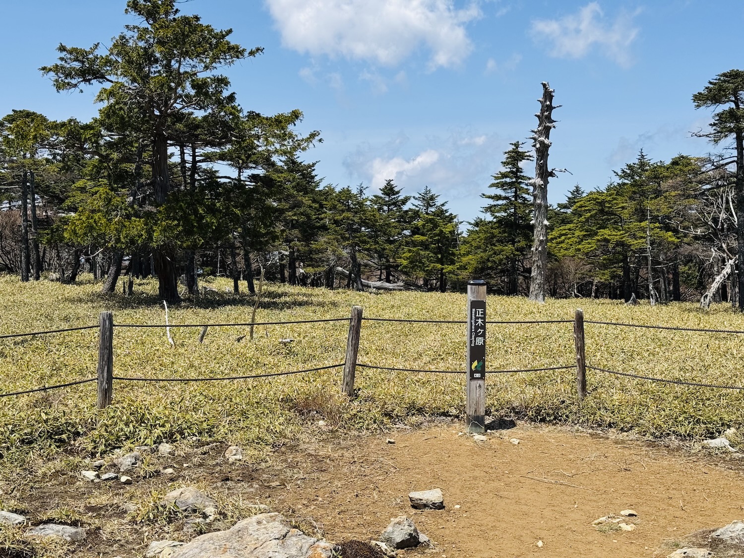 百名山・大台ヶ原(日出ヶ岳)日帰り登山日記