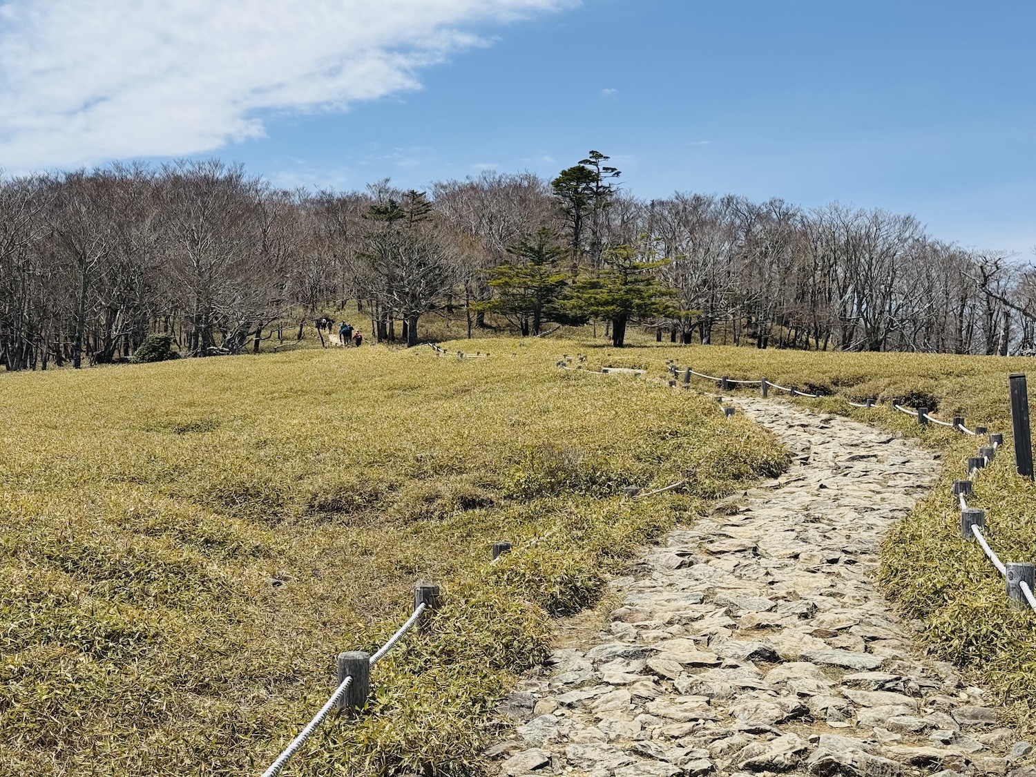 百名山・大台ヶ原(日出ヶ岳)日帰り登山日記