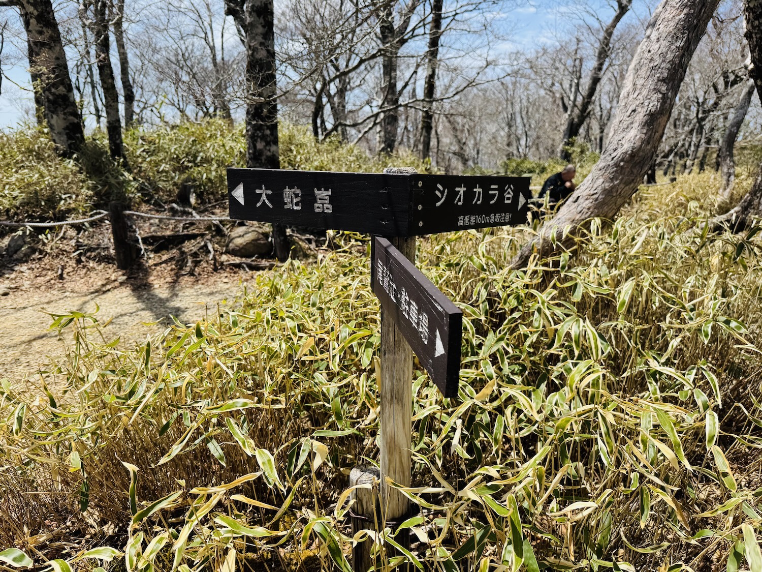 百名山・大台ヶ原(日出ヶ岳)日帰り登山日記