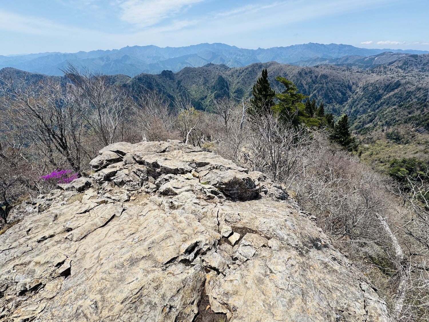 百名山・大台ヶ原(日出ヶ岳)日帰り登山日記
