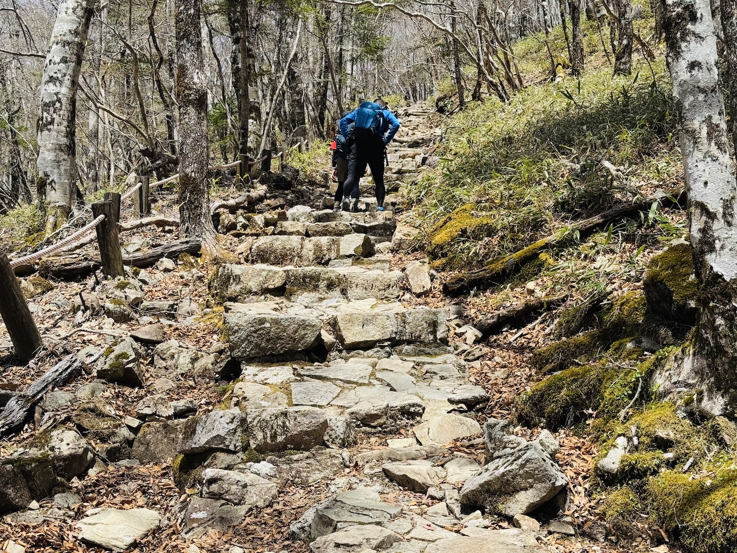 百名山・大台ヶ原(日出ヶ岳)日帰り登山日記