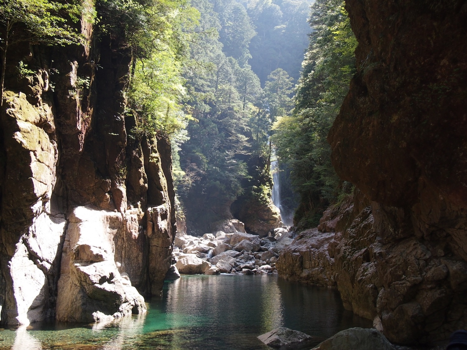 百名山・大台ヶ原(日出ヶ岳)日帰り登山日記