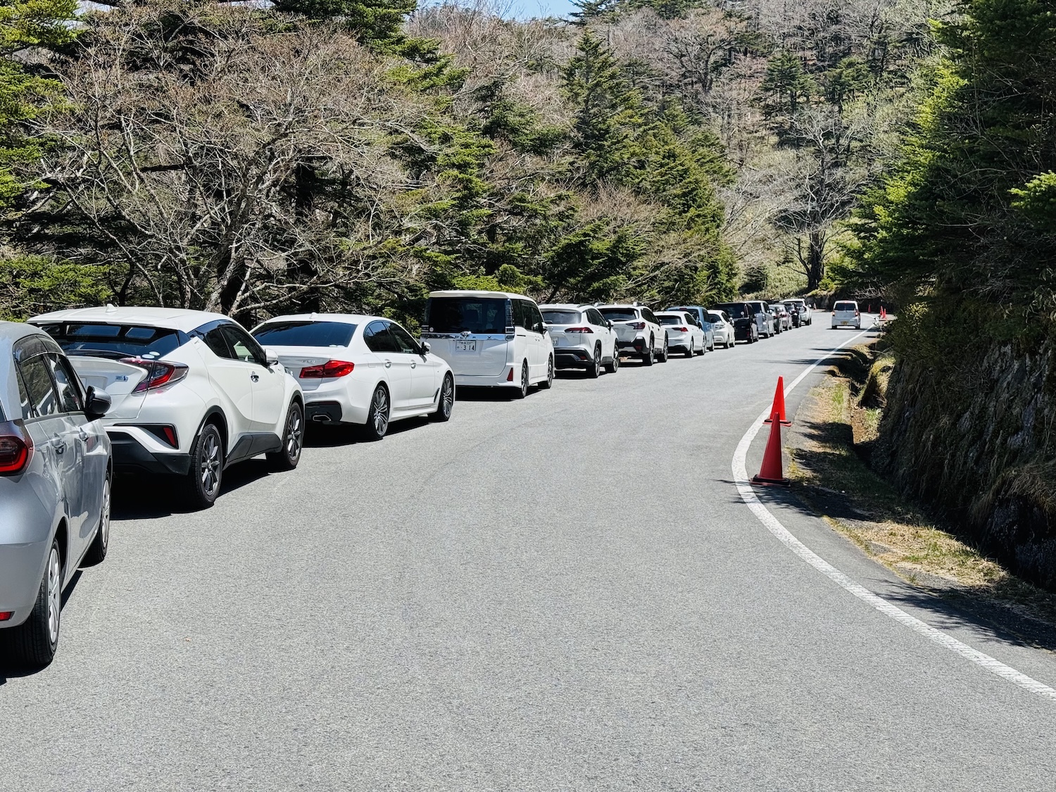百名山・大台ヶ原(日出ヶ岳)日帰り登山日記
