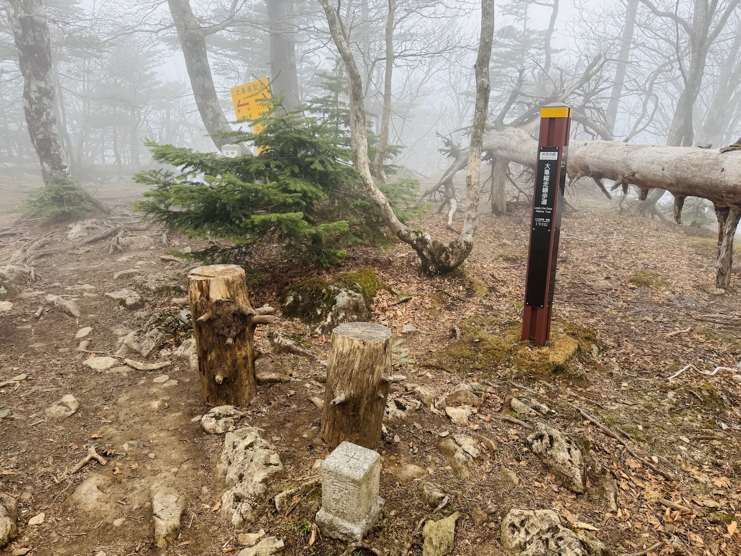 百名山・大峰山(八経ヶ岳)日帰り登山日記