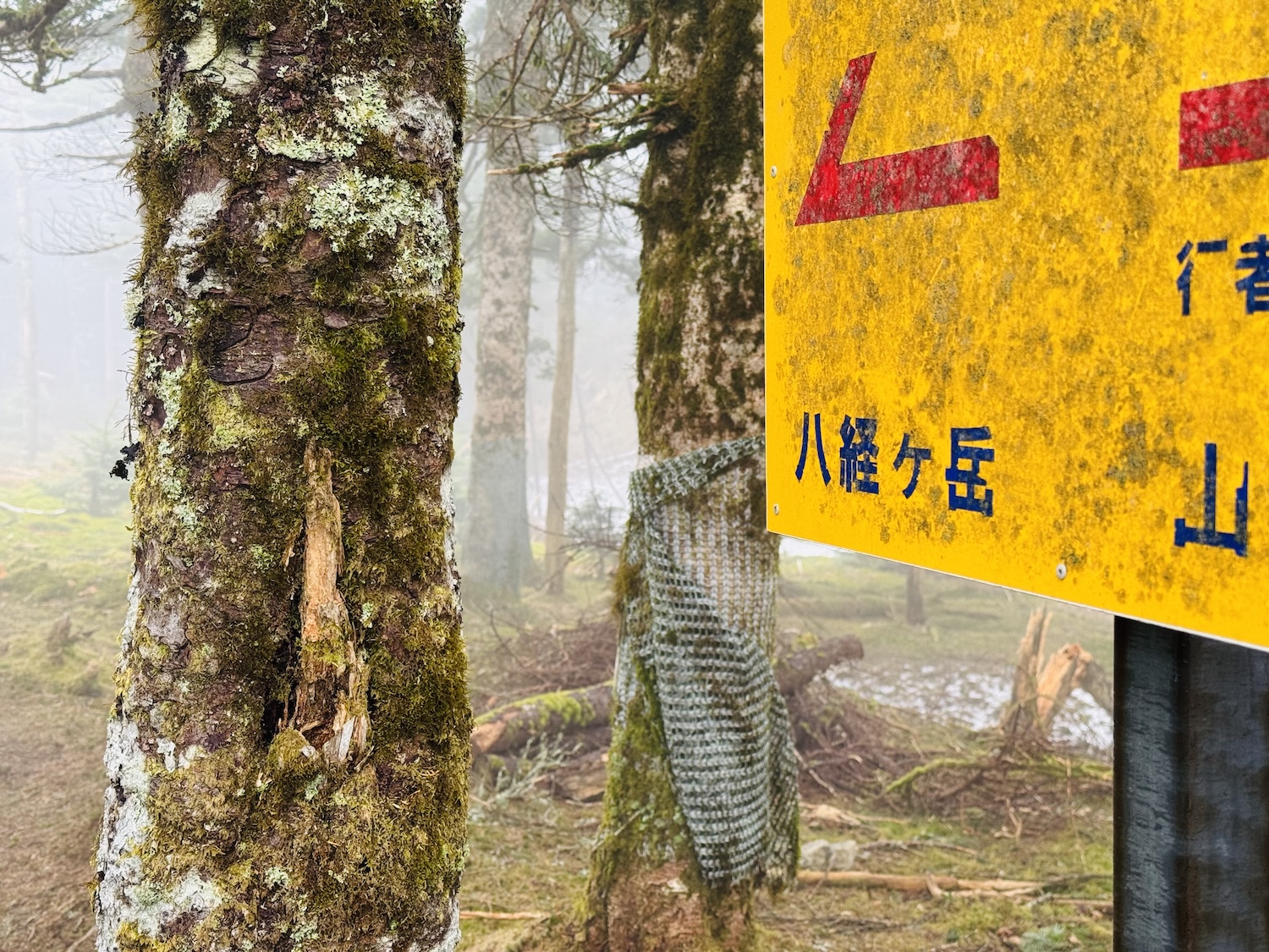 百名山・大峰山(八経ヶ岳)日帰り登山日記