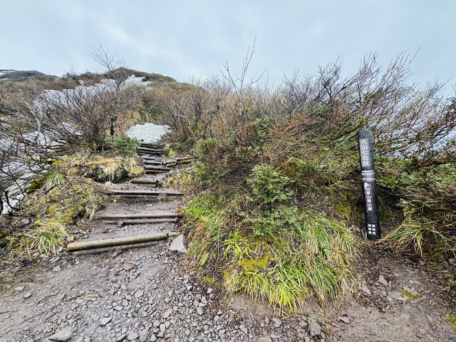 百名山・伯耆大山(弥山)日帰り登山日記