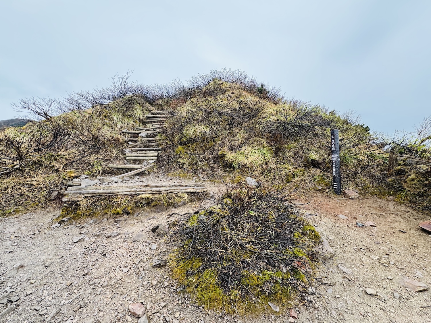 百名山・伯耆大山(弥山)日帰り登山日記
