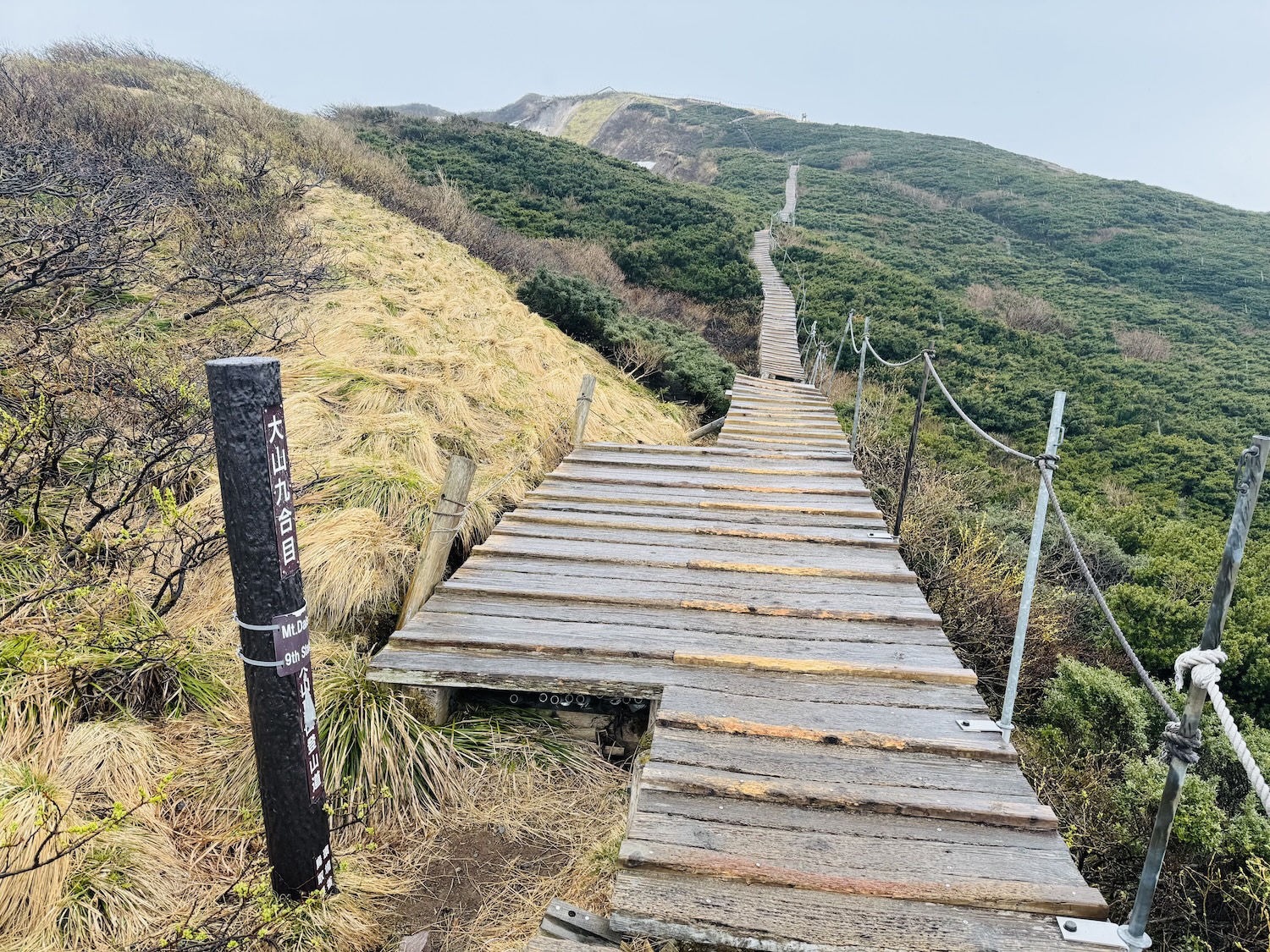 百名山・伯耆大山(弥山)日帰り登山日記