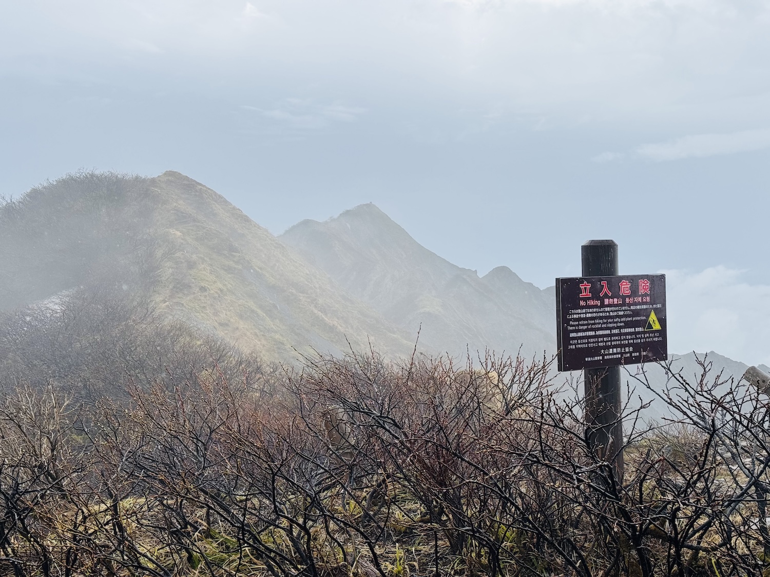 百名山・伯耆大山(弥山)日帰り登山日記