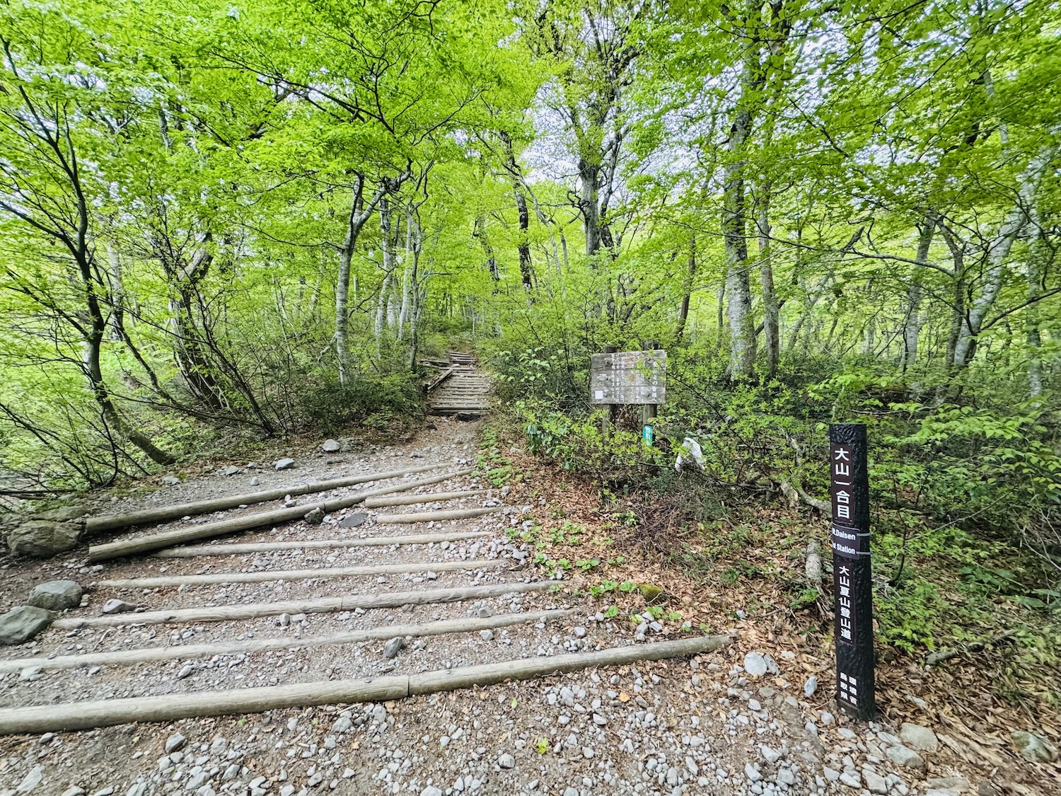 百名山・伯耆大山(弥山)日帰り登山日記