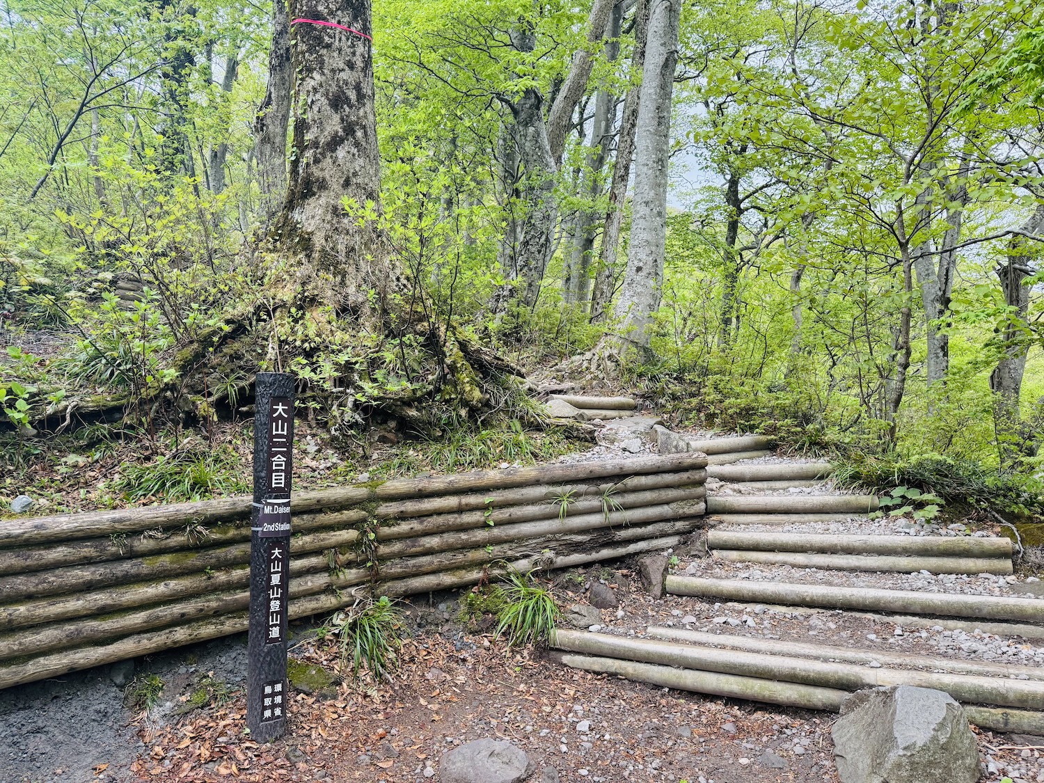 百名山・伯耆大山(弥山)日帰り登山日記