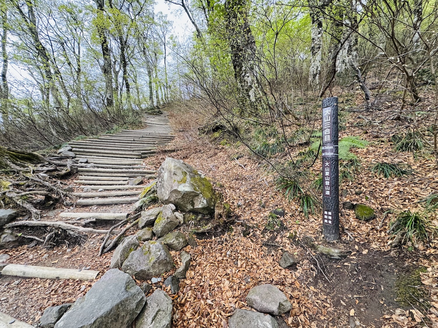 百名山・伯耆大山(弥山)日帰り登山日記