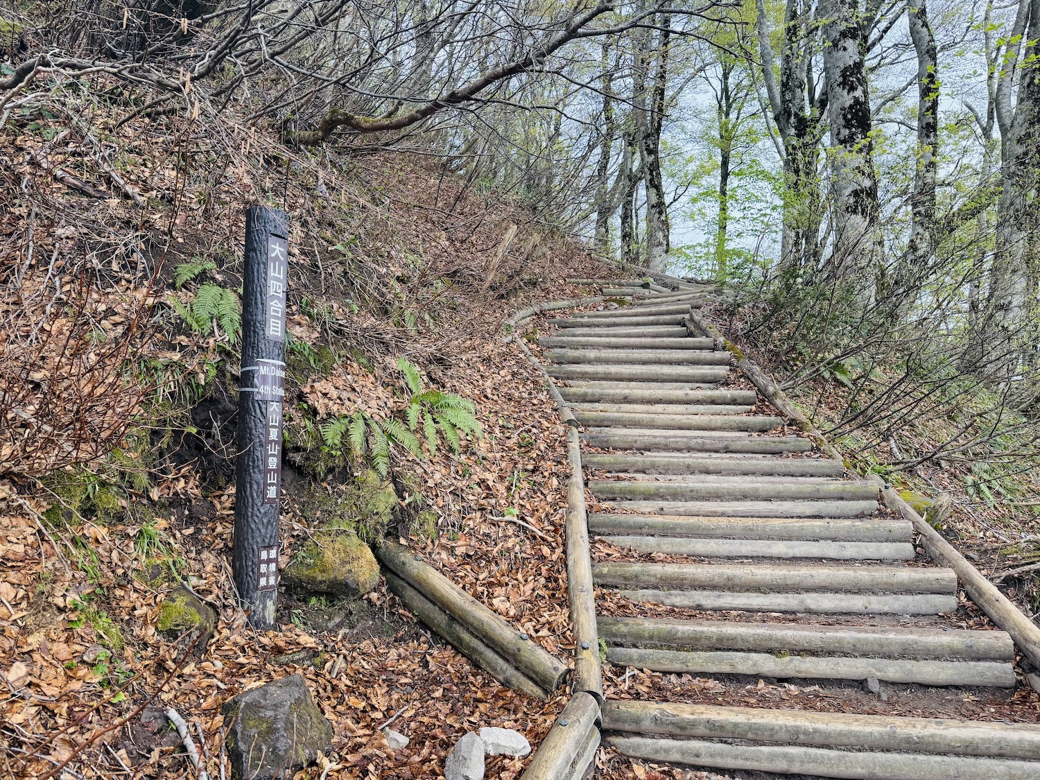 百名山・伯耆大山(弥山)日帰り登山日記