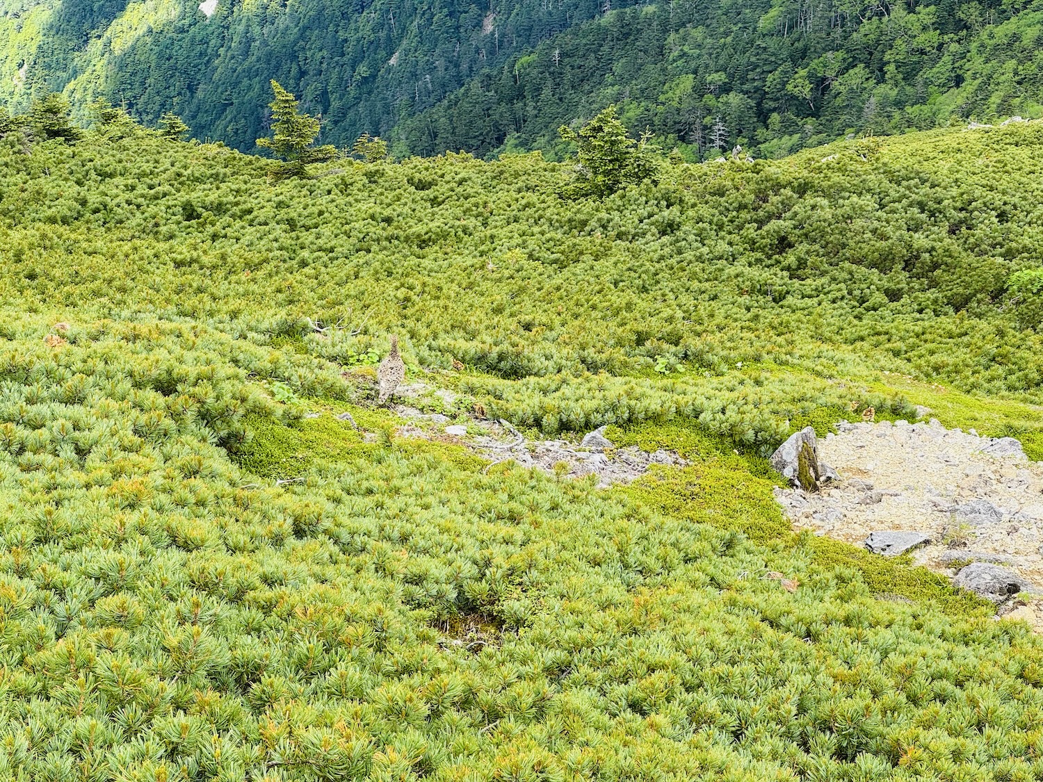 中央アルプス（空木岳、檜尾岳、木曽駒ヶ岳）日帰り登山日記