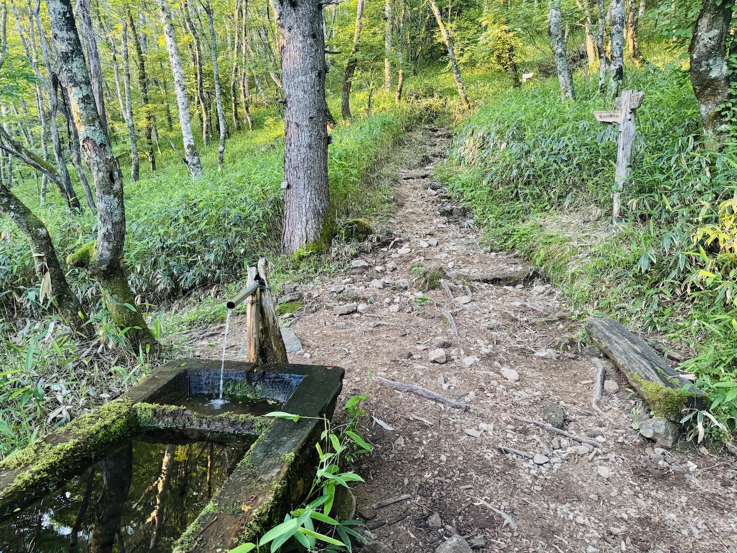 中央アルプス（空木岳、檜尾岳、木曽駒ヶ岳）日帰り登山日記