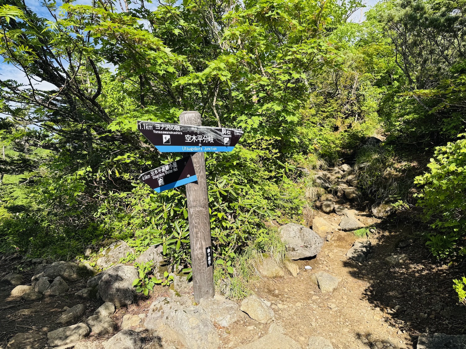 中央アルプス（空木岳、檜尾岳、木曽駒ヶ岳）日帰り登山日記