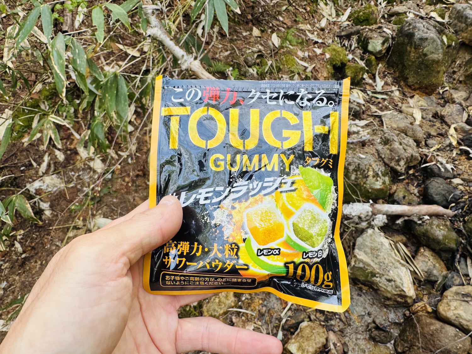 大雪山旭岳日帰り登山日記