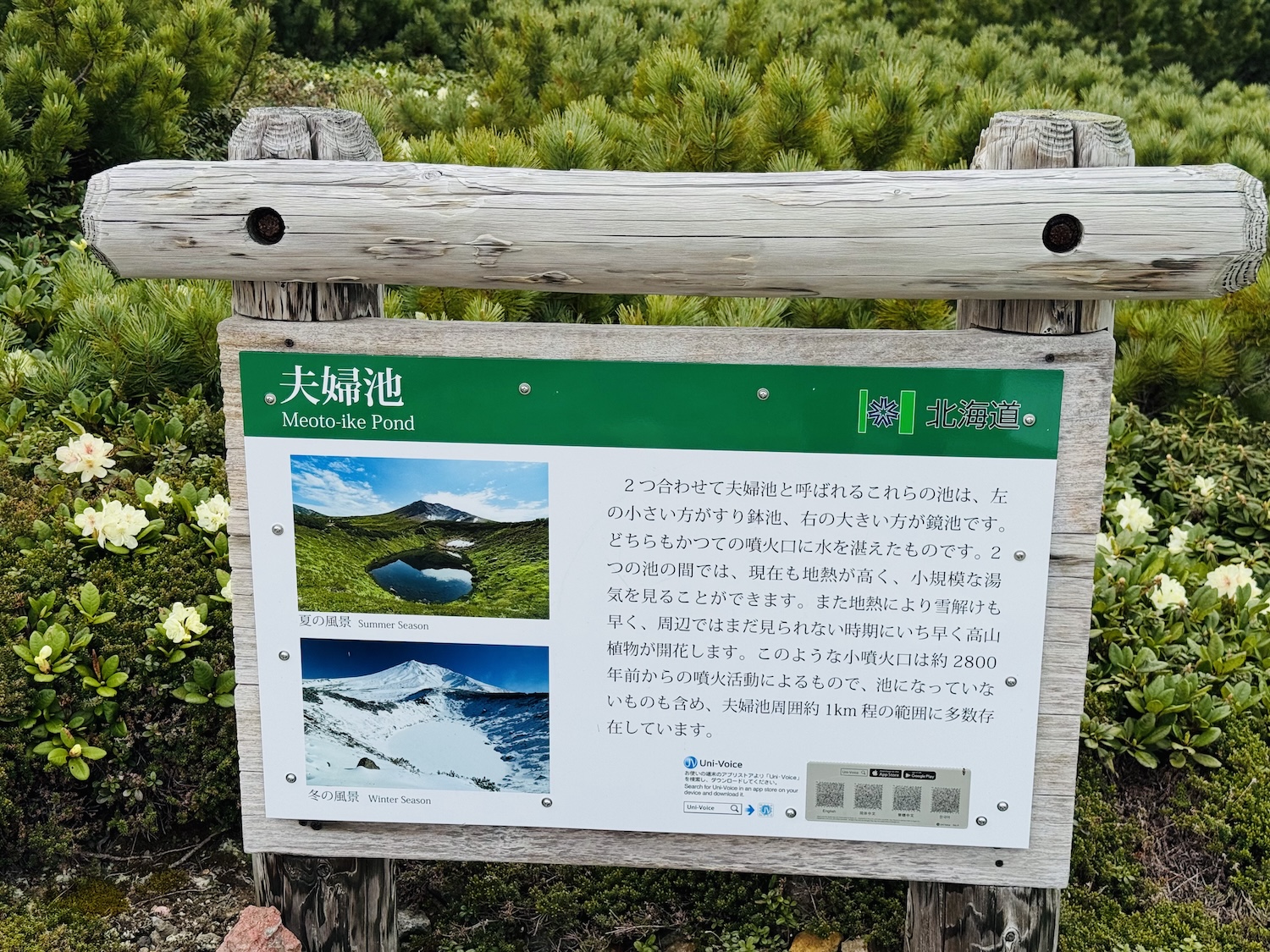 大雪山旭岳日帰り登山日記(夫婦池)