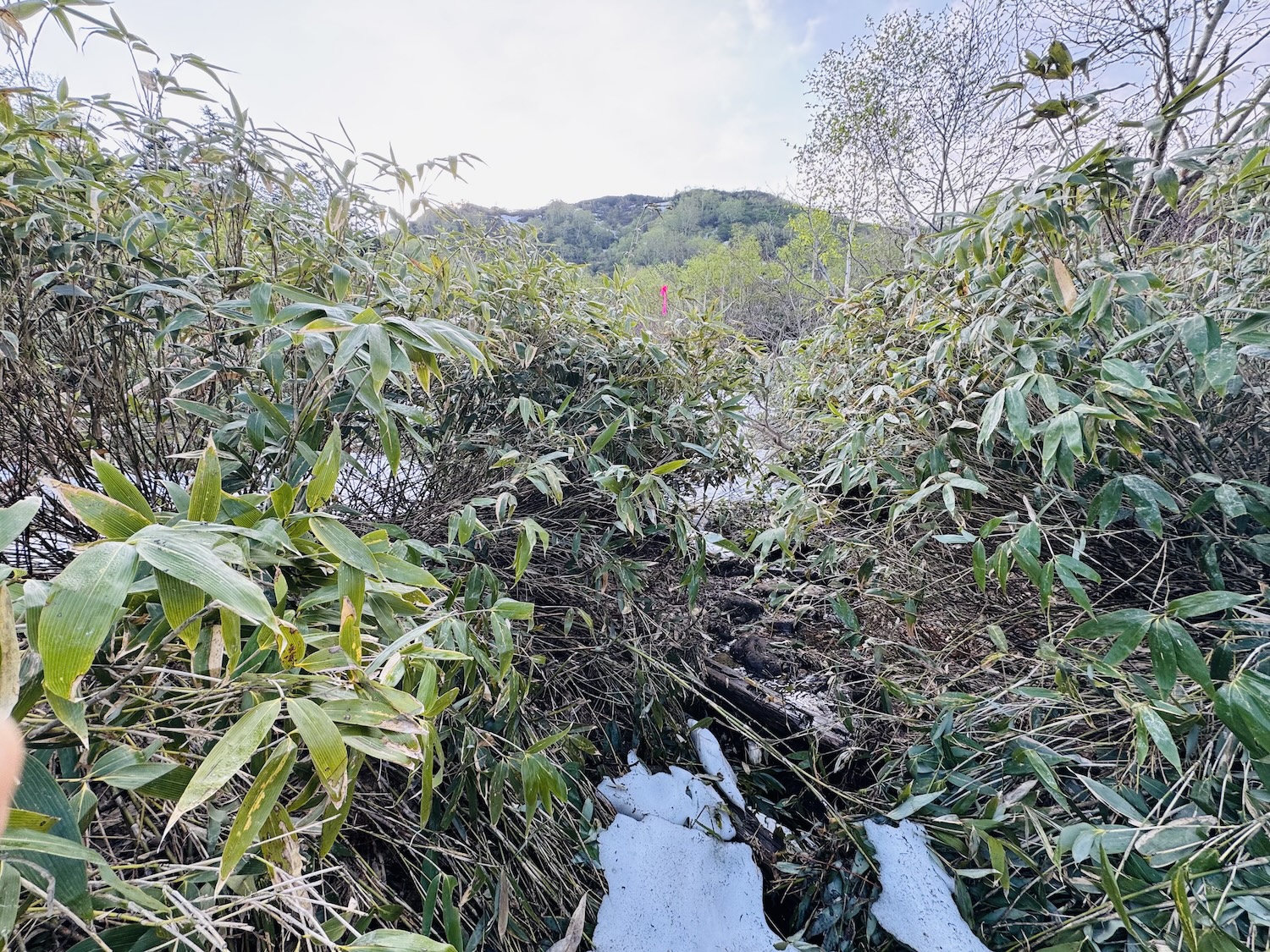 大雪山旭岳日帰り登山日記