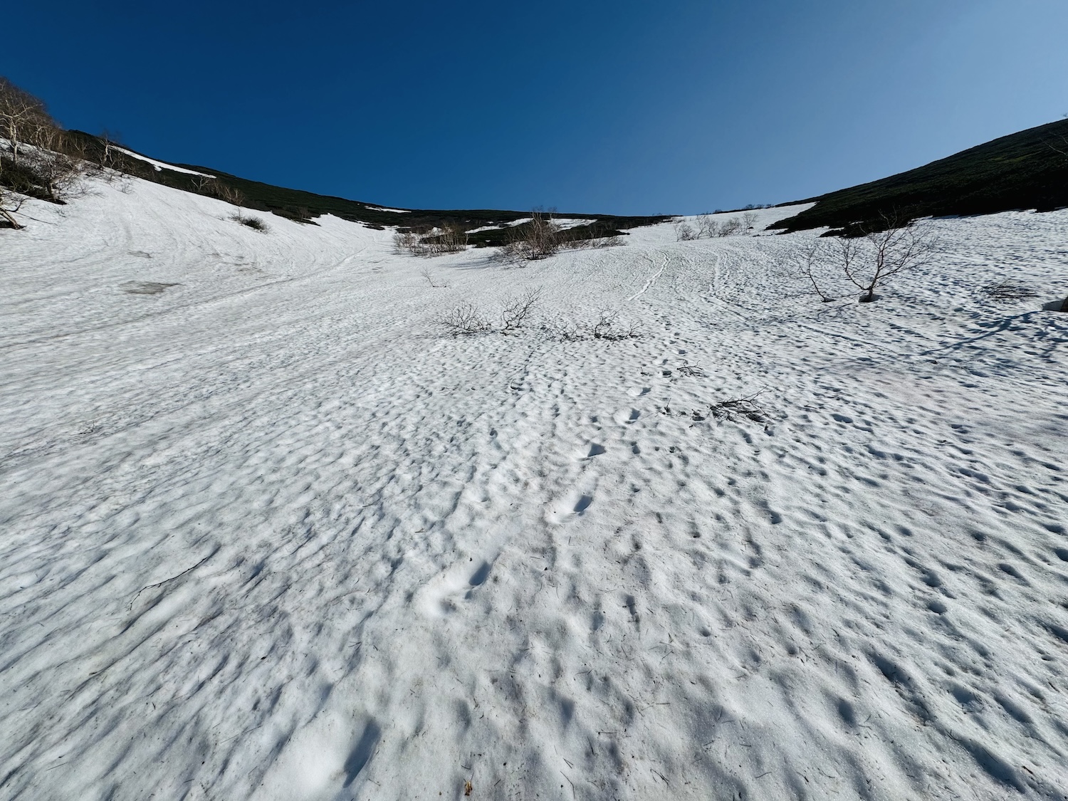トムラウシ短縮コース日帰り登山日記
