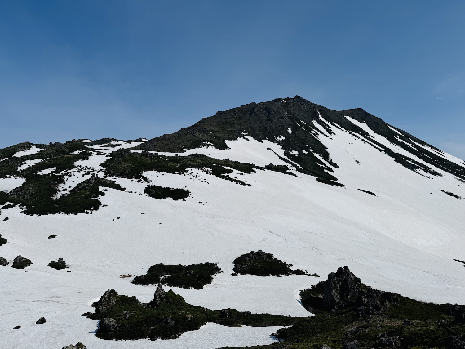 トムラウシ短縮コース日帰り登山日記