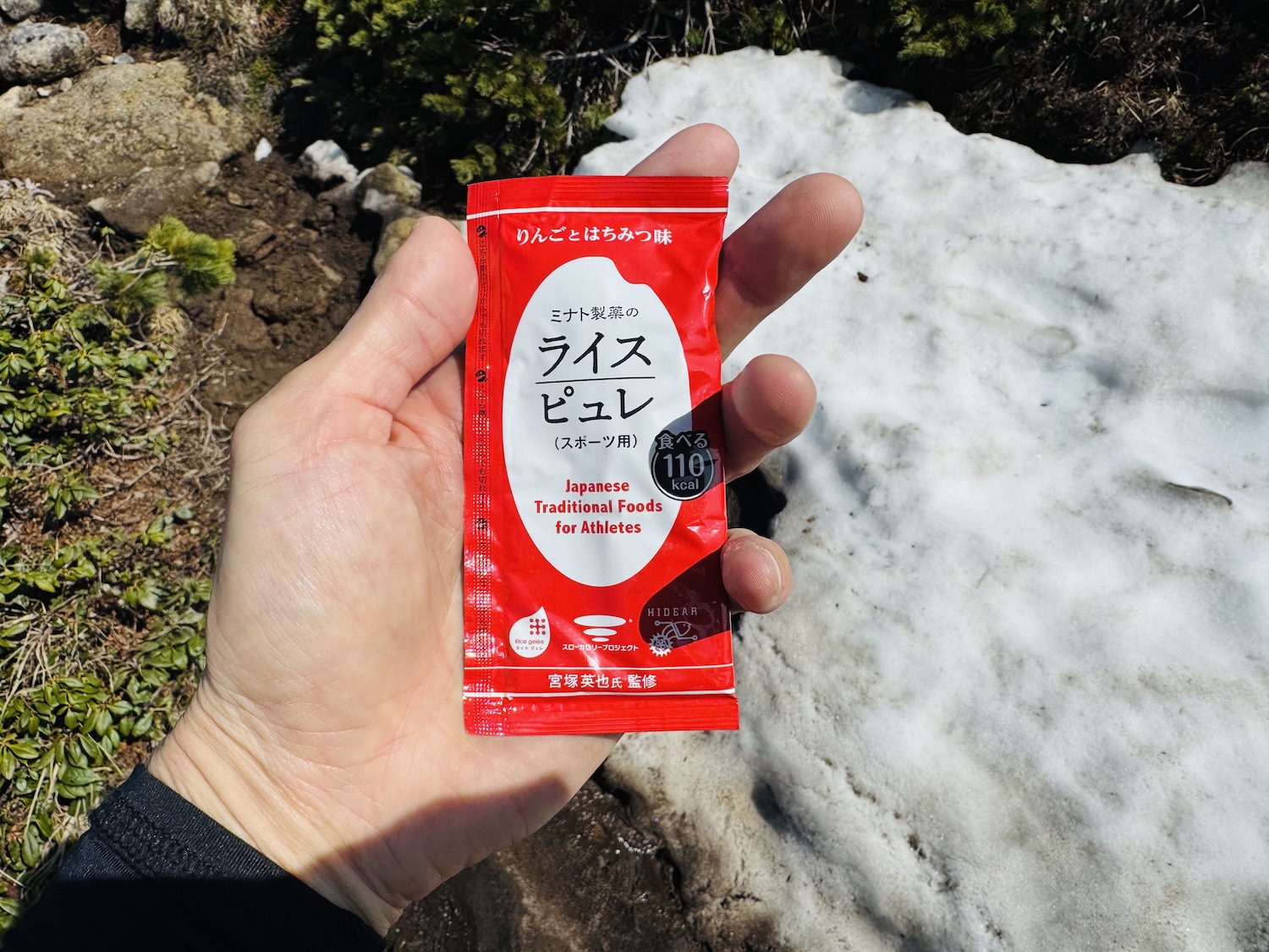 トムラウシ短縮コース日帰り登山日記