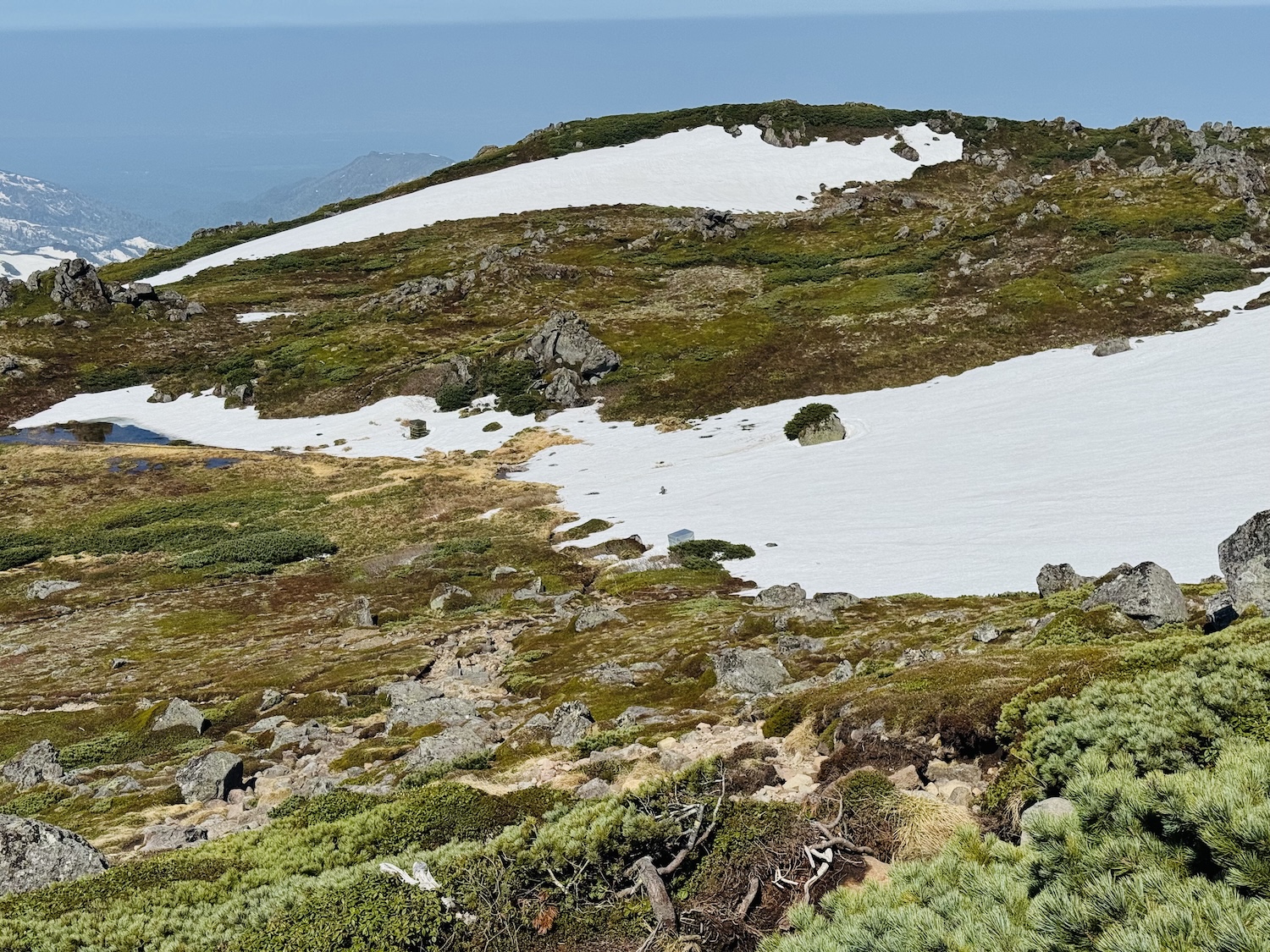 トムラウシ短縮コース日帰り登山日記
