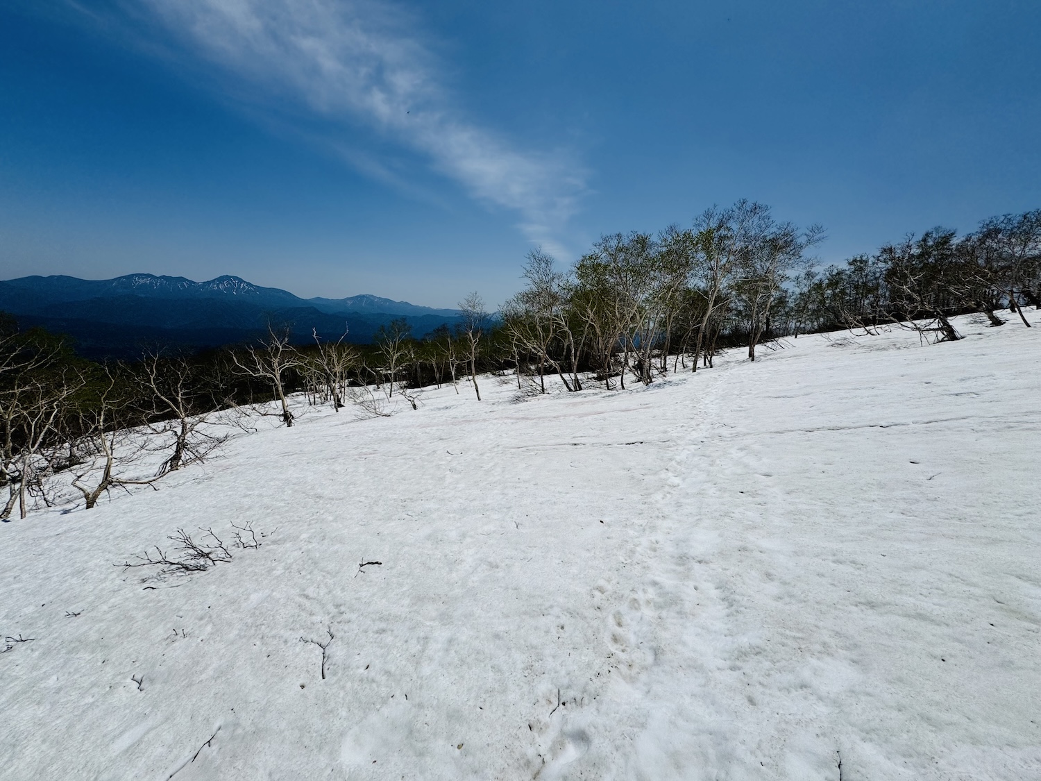 トムラウシ短縮コース日帰り登山日記