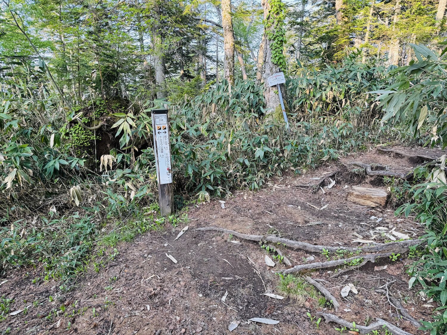 トムラウシ短縮コース日帰り登山日記