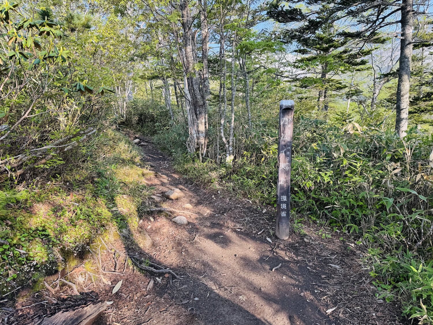 トムラウシ短縮コース日帰り登山日記